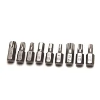 Bit 10mm SPLINE M10x30mm